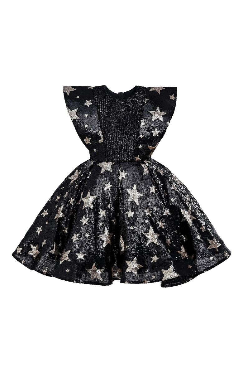 Tulleen Starlit Rivior Dress, Main, color, Black