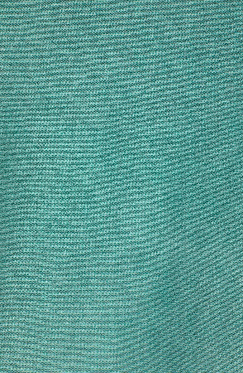 Champion Snoopy Reverse Weave Hoodie, Alternate, color, 