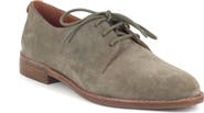Gentle Souls Aronson Derby