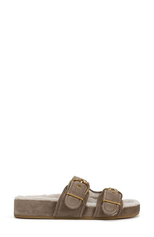 Veronica Beard Prue Genuine Shearling Lined Two Strap Sandal In Brown