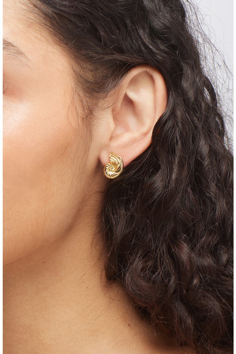 Nautilus Shell Stud Earrings, Alternate, color, GOLD