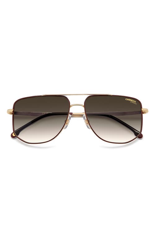 Carrera Eyewear 59mm Gradient Navigator Sunglasses In Gold Burgundy/green Shaded
