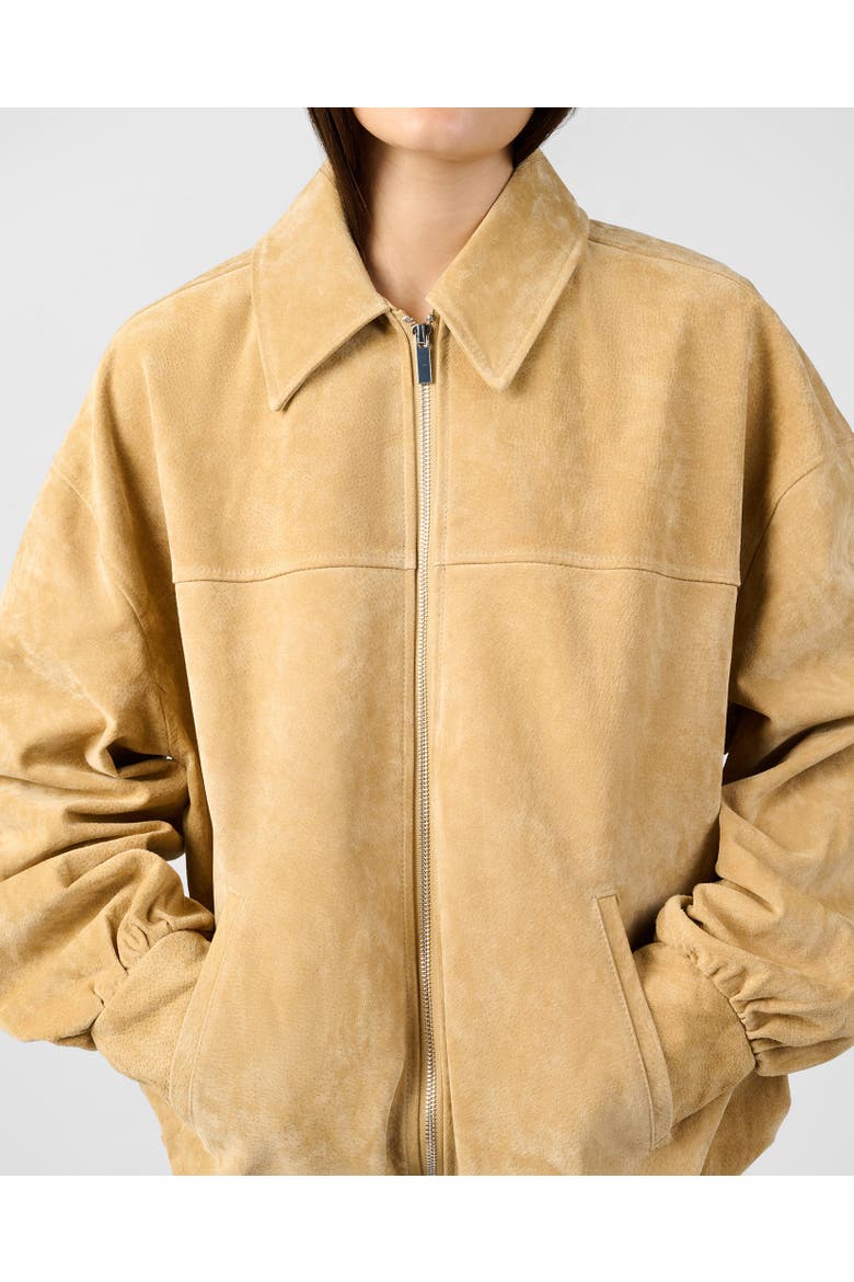 Premium Suede Bomber Jacket, Alternate, color, TAN