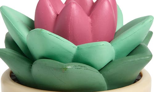 Taste Beauty Kids' What Up, Succa Succulent Lip Balm