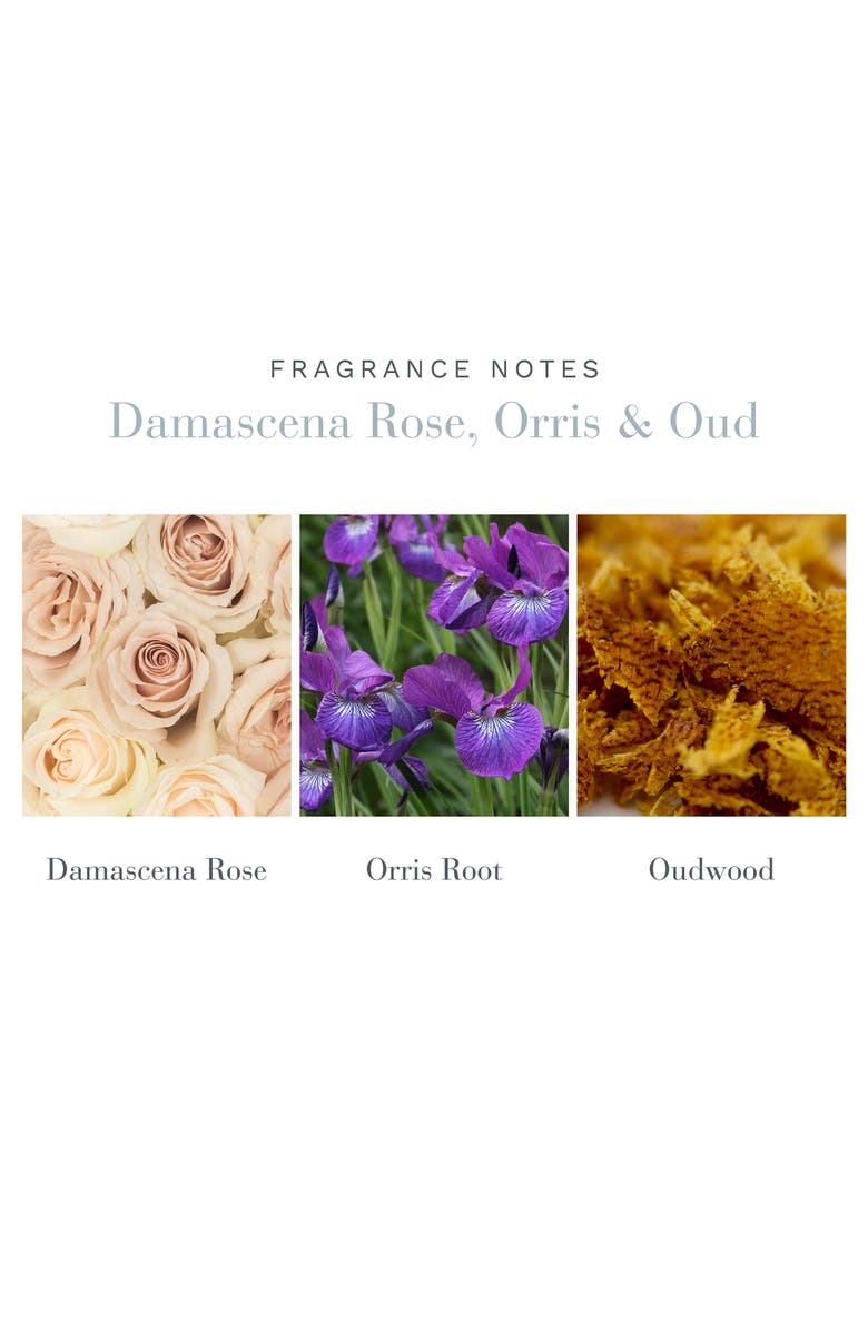 Antica Farmacista Damascena Rose, Orris & Oud Home Ambiance Perfume, Alternate, color, 
