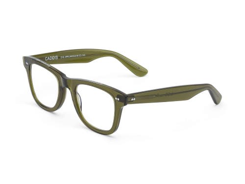 Caddis Porgy Backstage | Reading Glasses