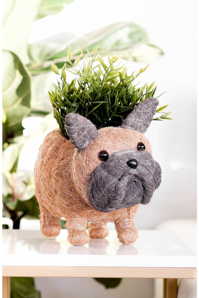 French Bulldog Handwoven Planter, Alternate, color, BROWN / BLACK