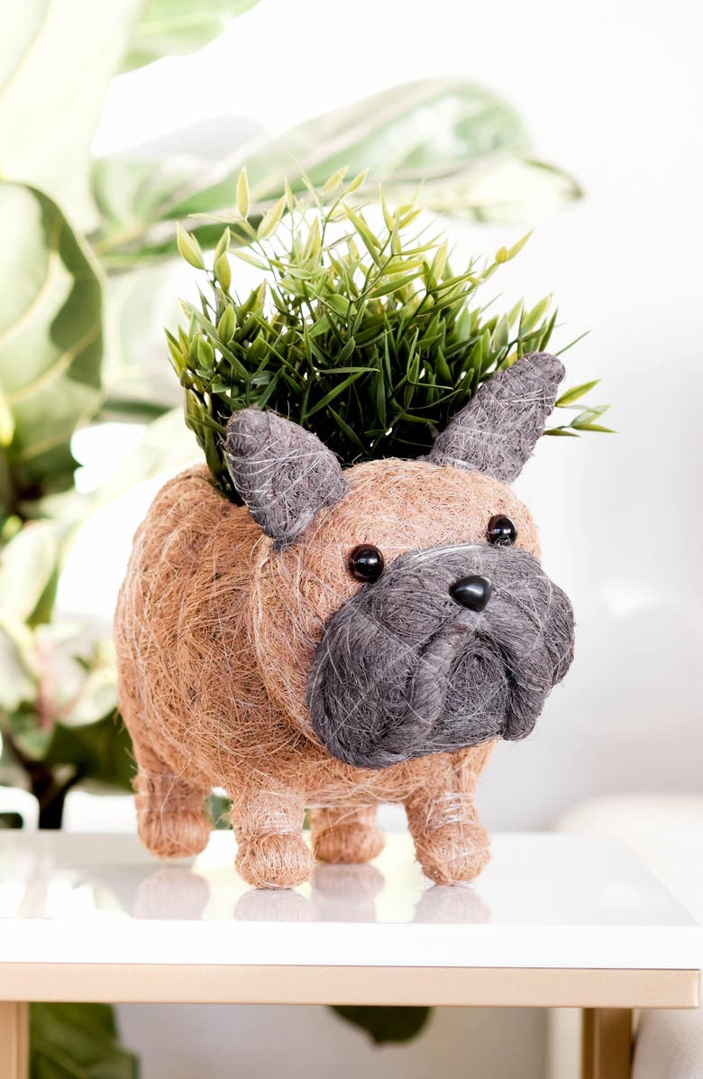LIKHA French Bulldog Handwoven Planter, Alternate, color,