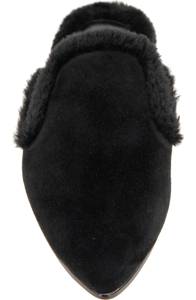 Splendid Liza Pointed Toe Mule, Alternate, color, Black Fur