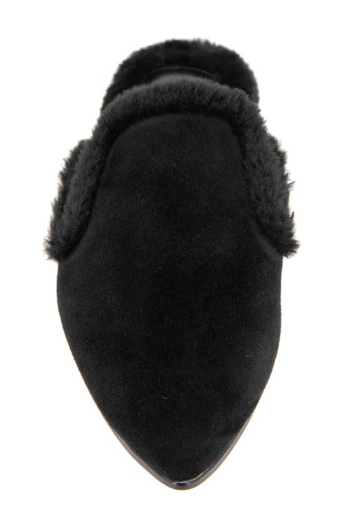 Splendid Liza Pointed Toe Mule In Black