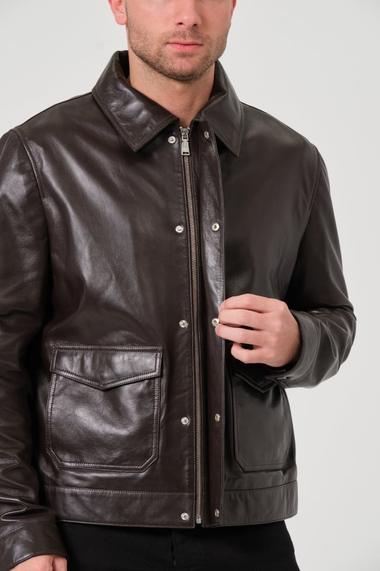 Maddox Leather Jacket, Alternate, color, Coffee Bean Brown