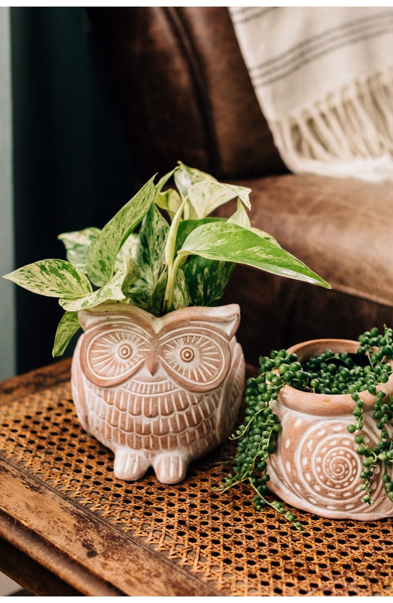 Ten Thousand Villages Owl Planter, Alternate, color, Beige