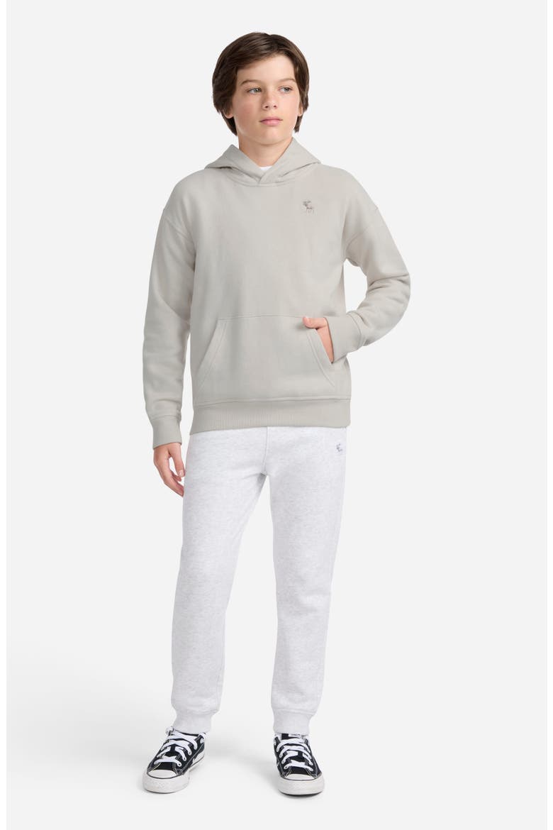 Kids' Essentials Fleece Hoodie, Alternate, color, PUMICE STONE