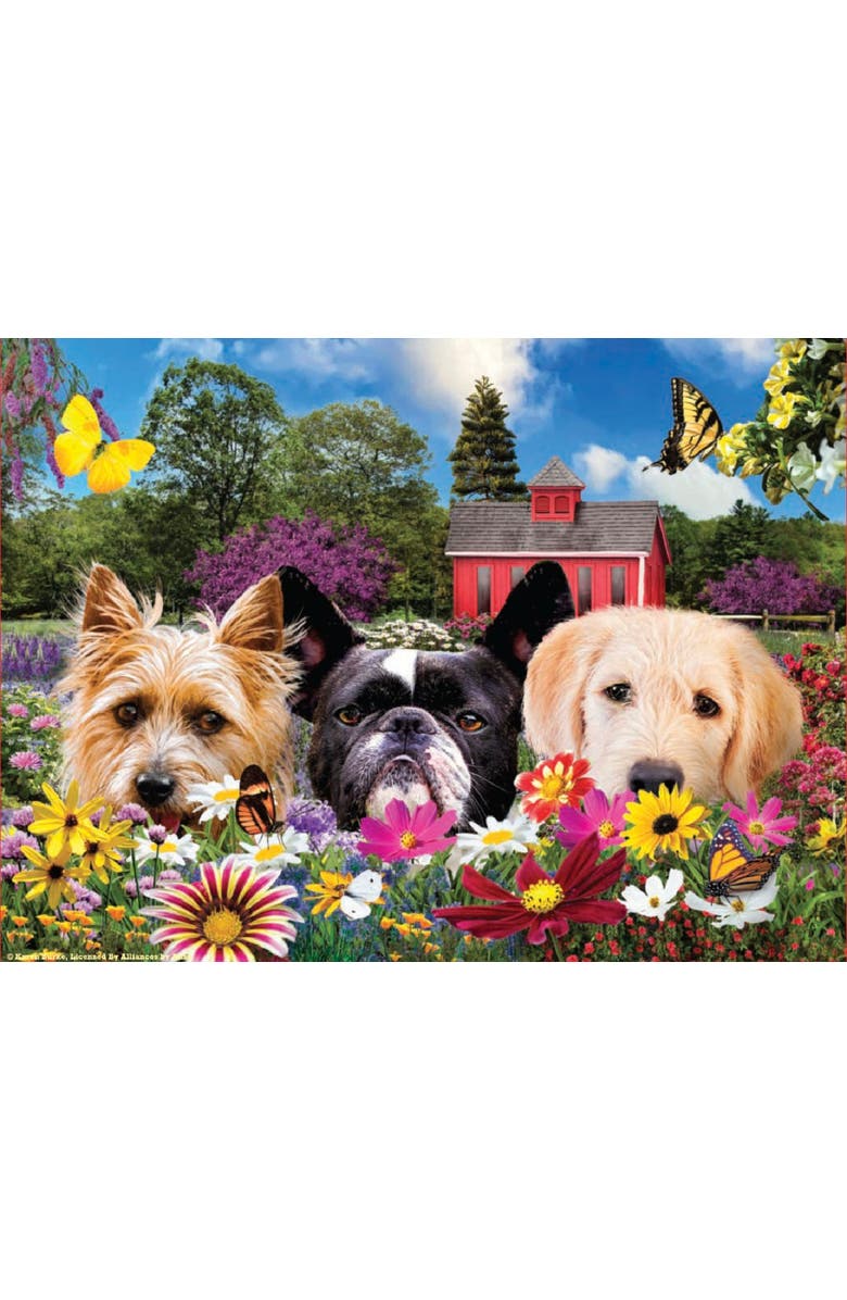 Sunsout Peek-a-Boo 500 piece Jigsaw Puzzle for Adults, Alternate, color, Multicolor