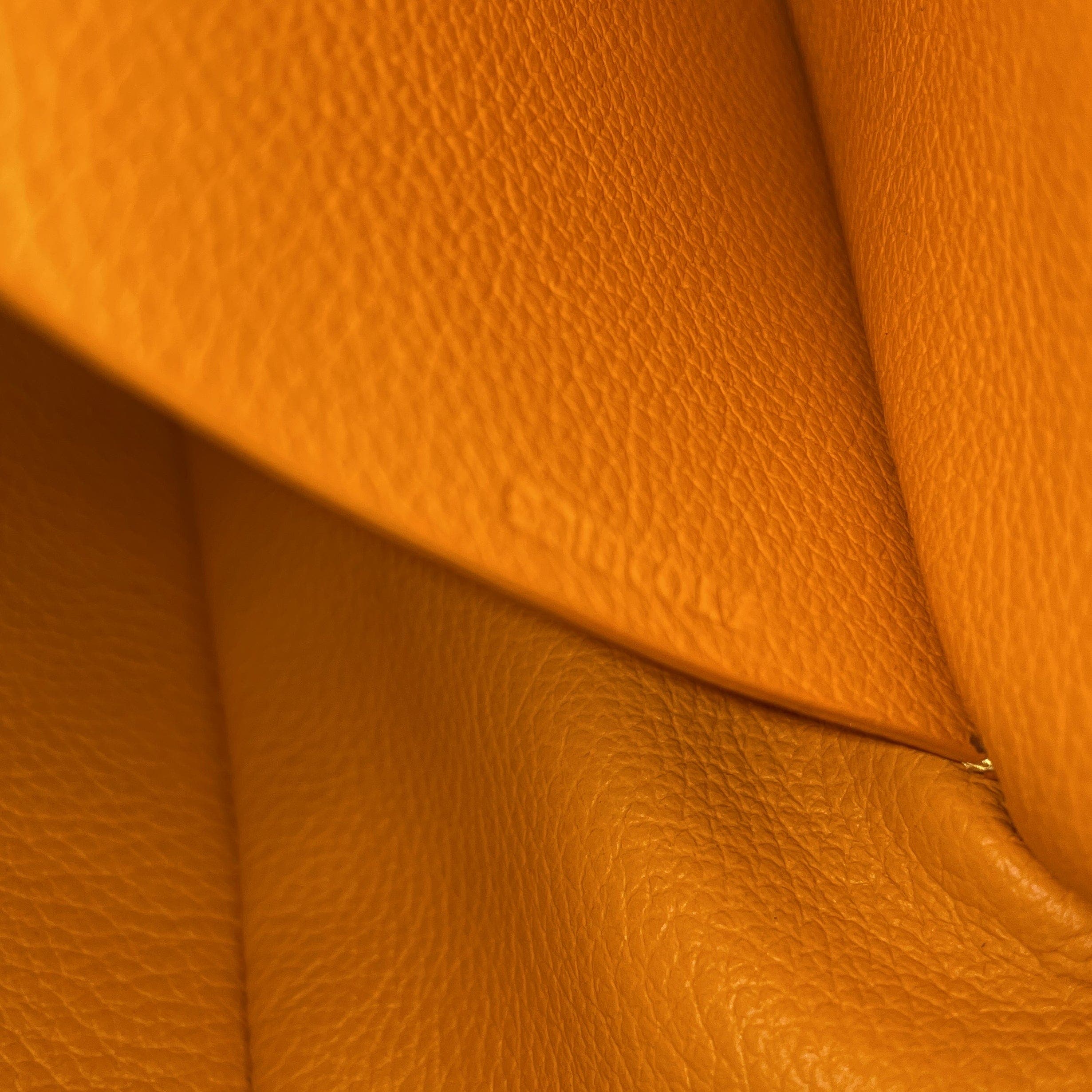 Pre-Owned Goyard Saigon Top Handle Bag Coated Canvas with Leather Mini, Alternate, color, Orange