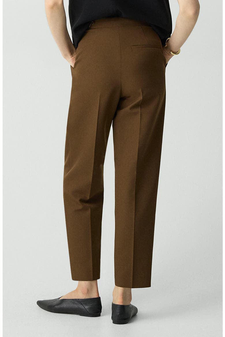Wool Blend Pleated Pants, Alternate, color, CLOVE