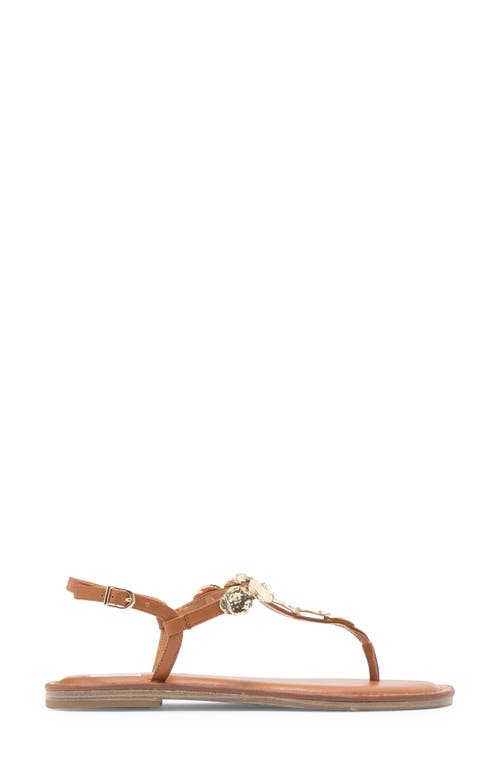 Dolce Vita Dv By  Jaime T-strap Sandal In Tan