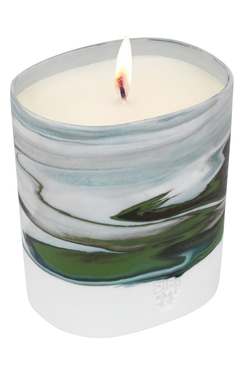 Diptyque La Proveresse Scented Candle, Main, color,