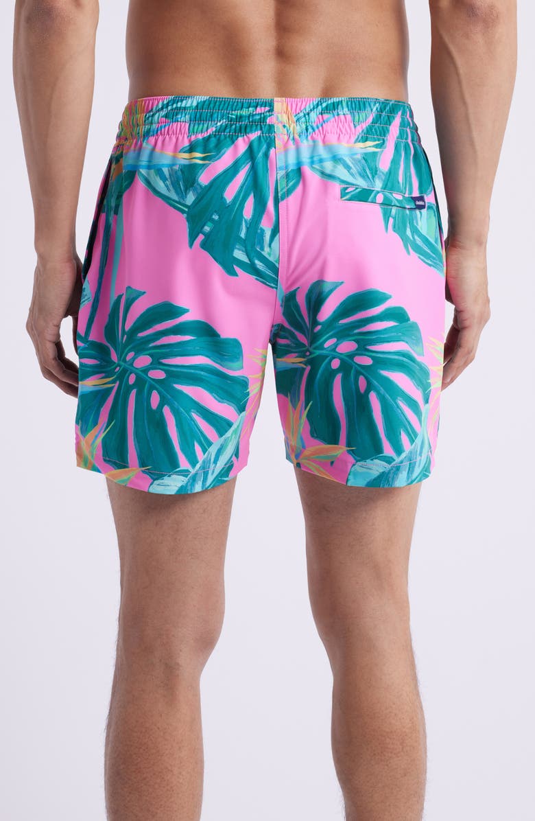 Chubbies The Birds of Paradise Floral 5.5-Inch Swim Trunks, Alternate, color, Bright Pink