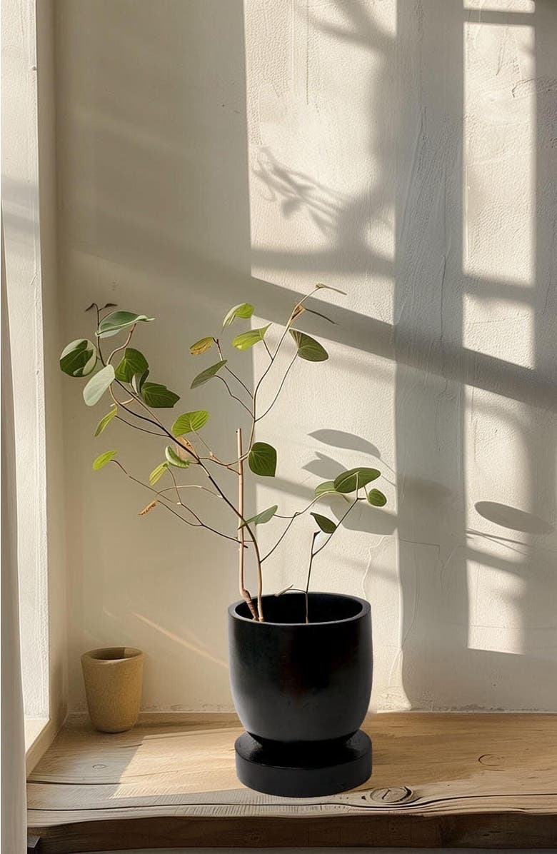 indego africa Adu Planter, Alternate, color, Soot