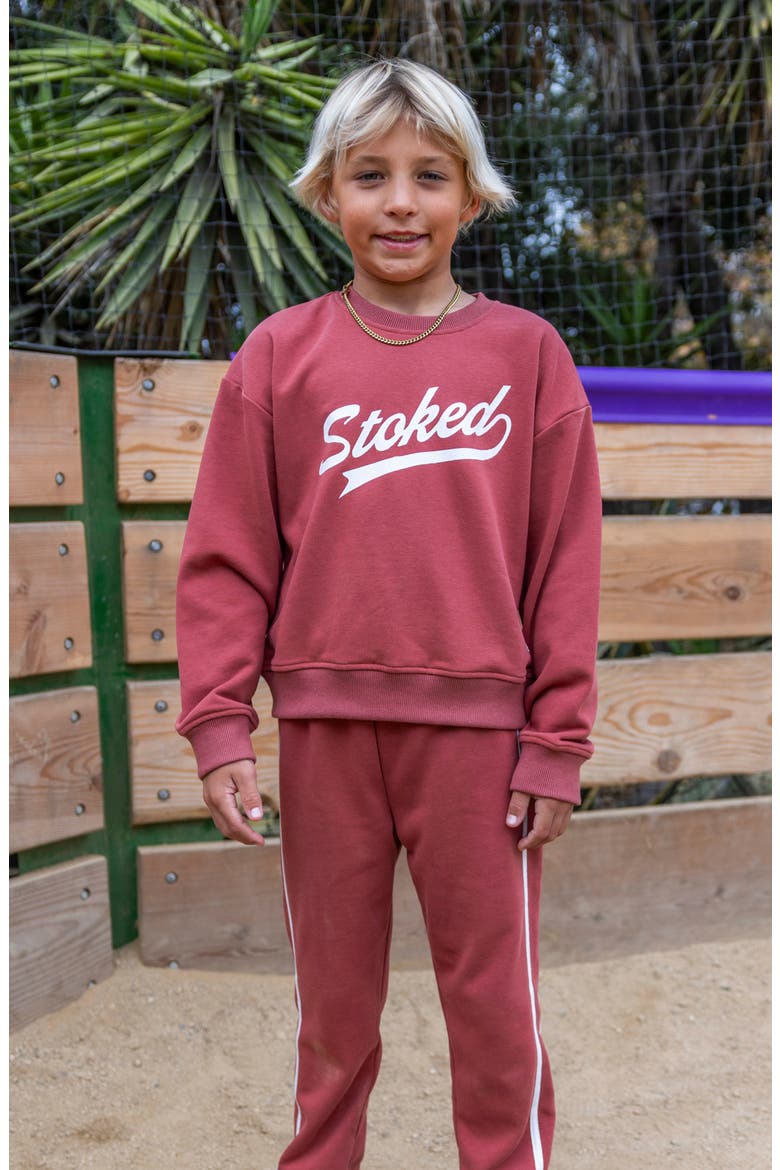 Ryder Stoked Cotton Blend Graphic Sweatshirt, Alternate, color, CANYON RED