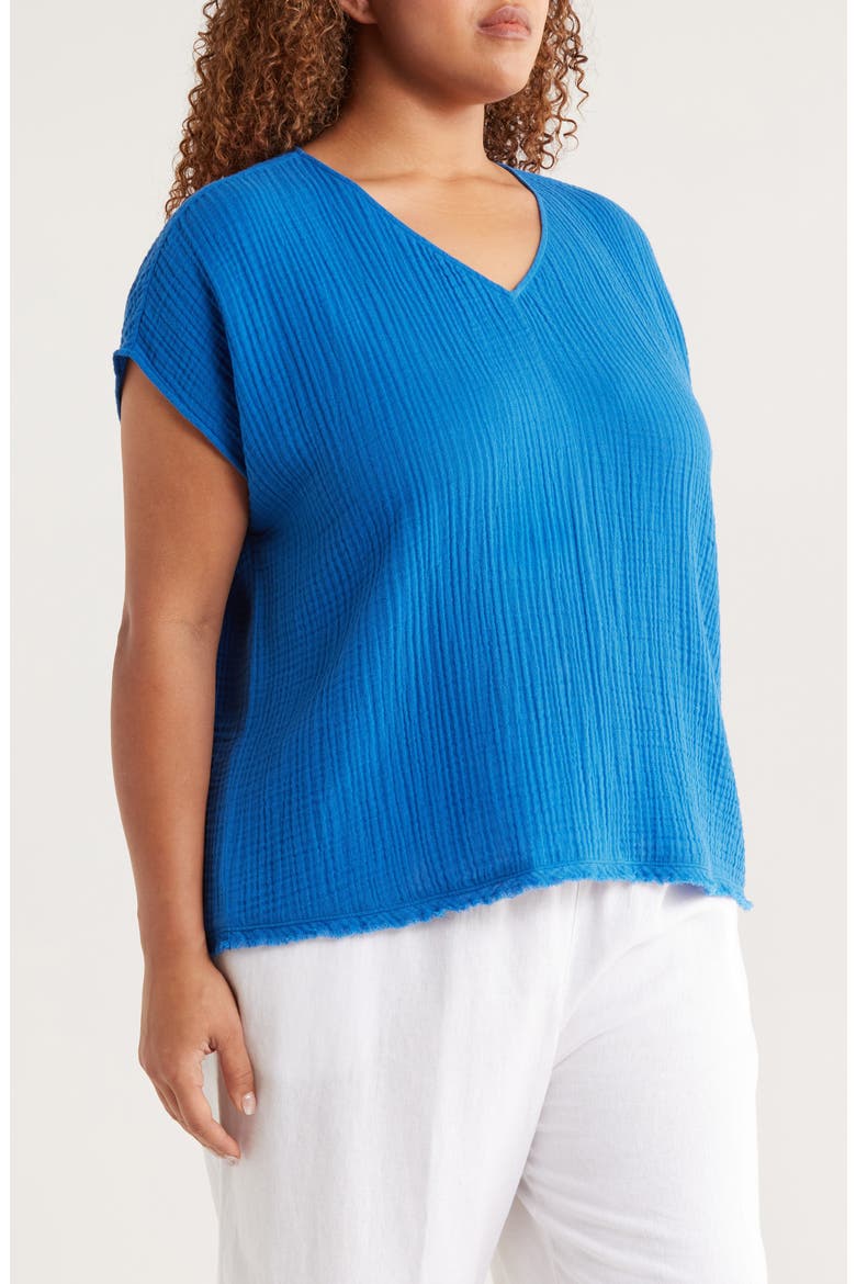 V-Neck Dolman Sleeve Organic Cotton Gauze Top, Alternate, color, BLUEBIRD
