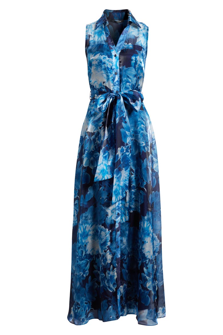 Floral Sleeveless Organza Gown, Alternate, color, BLUE MULTI