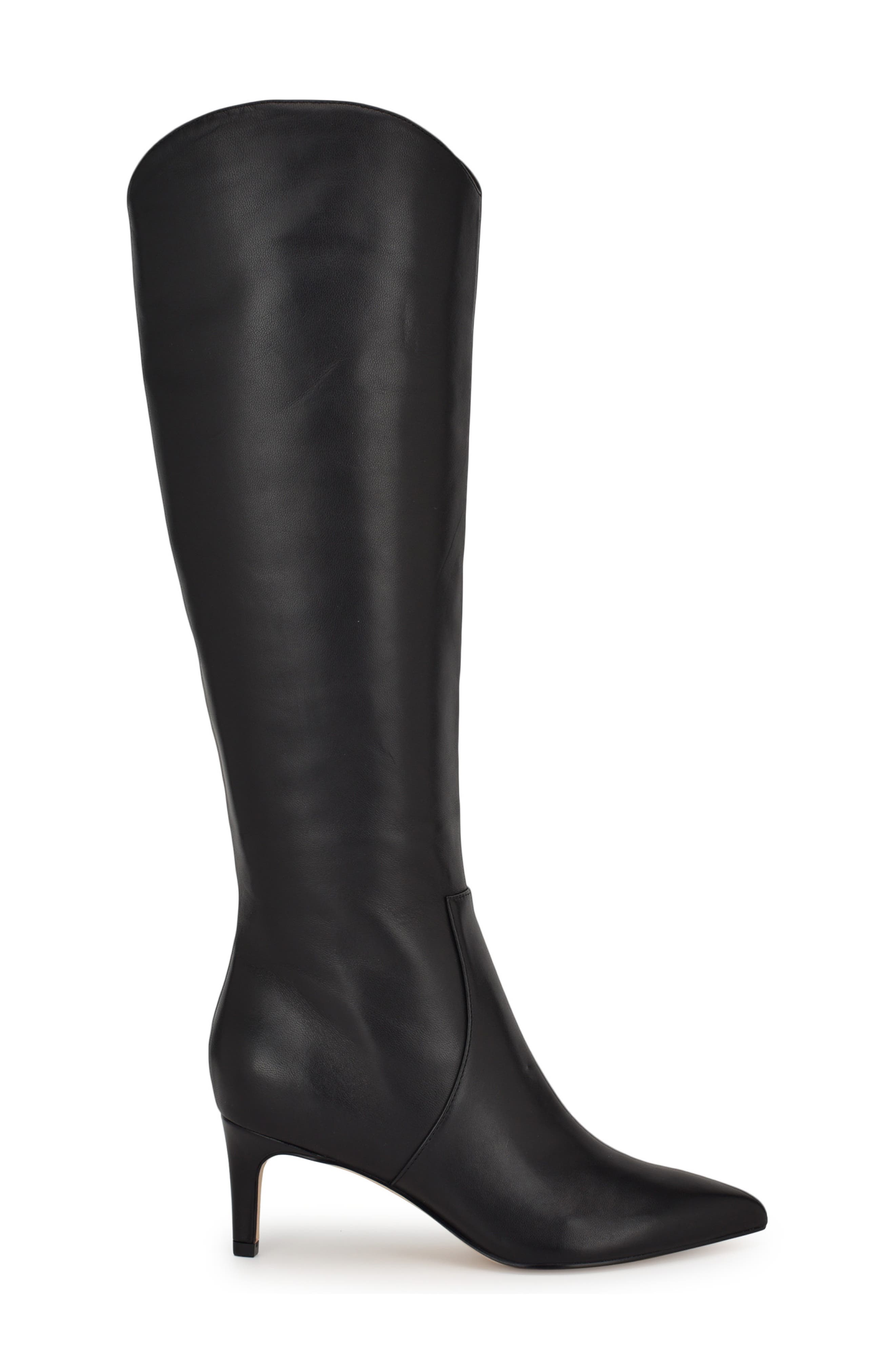 Nine West Sirena Pointed Toe Knee High Boot, Alternate, color, 