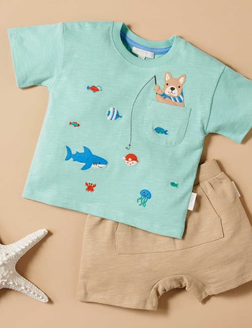 Purebaby Catching A Shark Tee & Short Set In Green