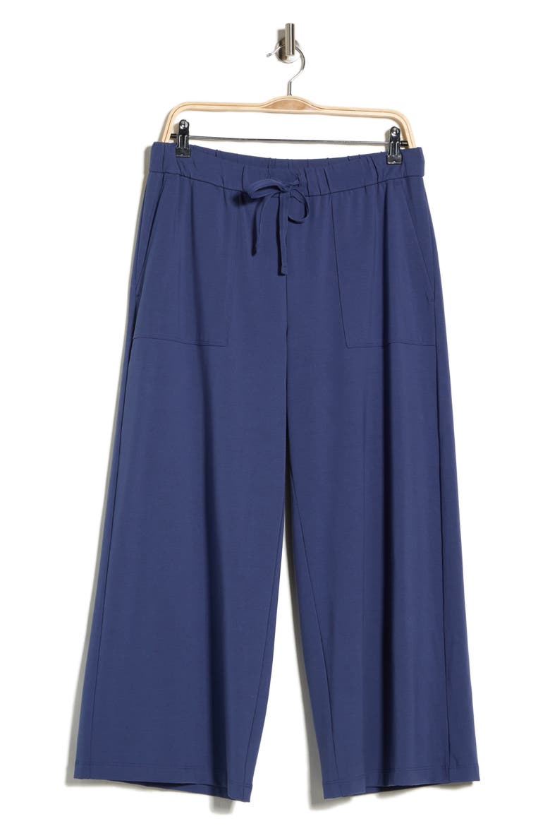 Cropped Wide Leg Pants, Alternate, color, BLUE VIOLET