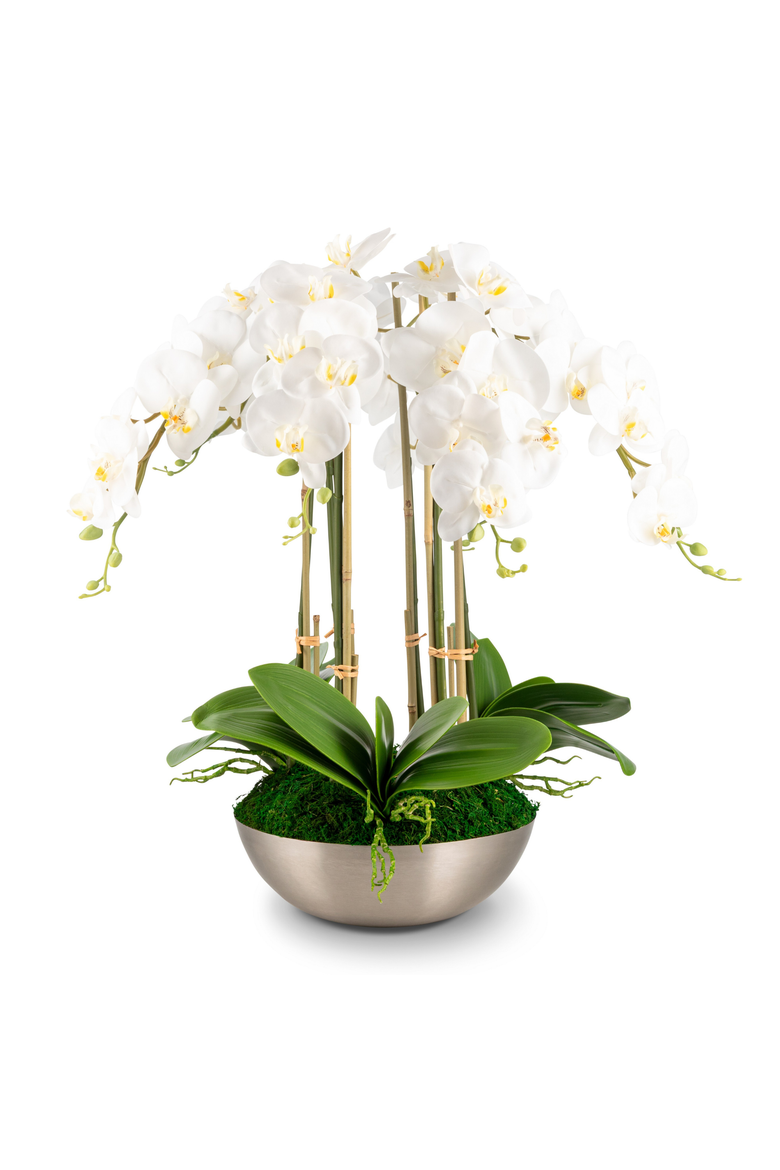 Abrienne RealTouch Orchid Arrangement, Main, color, Snow