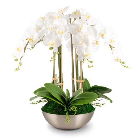 Abrienne RealTouch Orchid Arrangement
