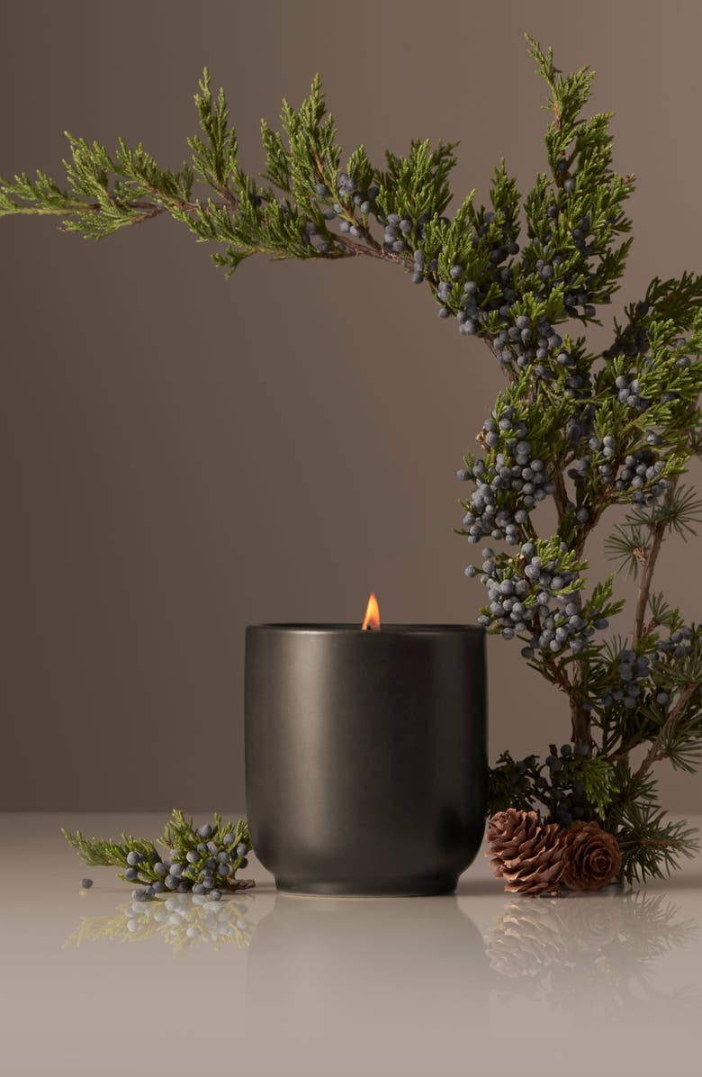 Homecourt Balsam Fireplace Candle, Alternate, color,