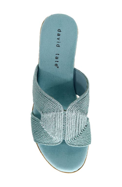 David Tate Vibe Wedge Slide Sandal In Sky