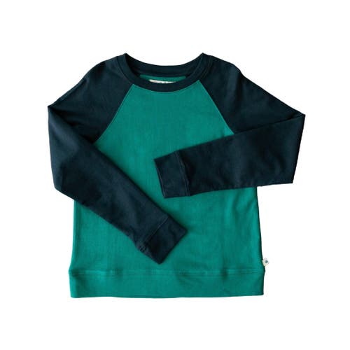 Jackalo Stevie Raglan Sweatshirt In Hunter Green & Navy