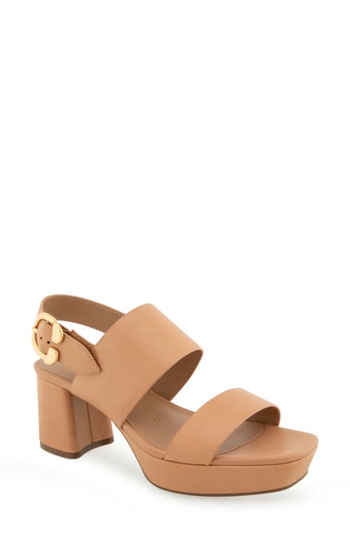 Aerosoles Camilia Platform Sandal In Brown