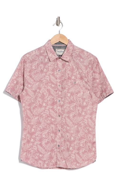 Shop Flag And Anthem Locke Short Sleeve Button-up Shirt In Dark Mauve