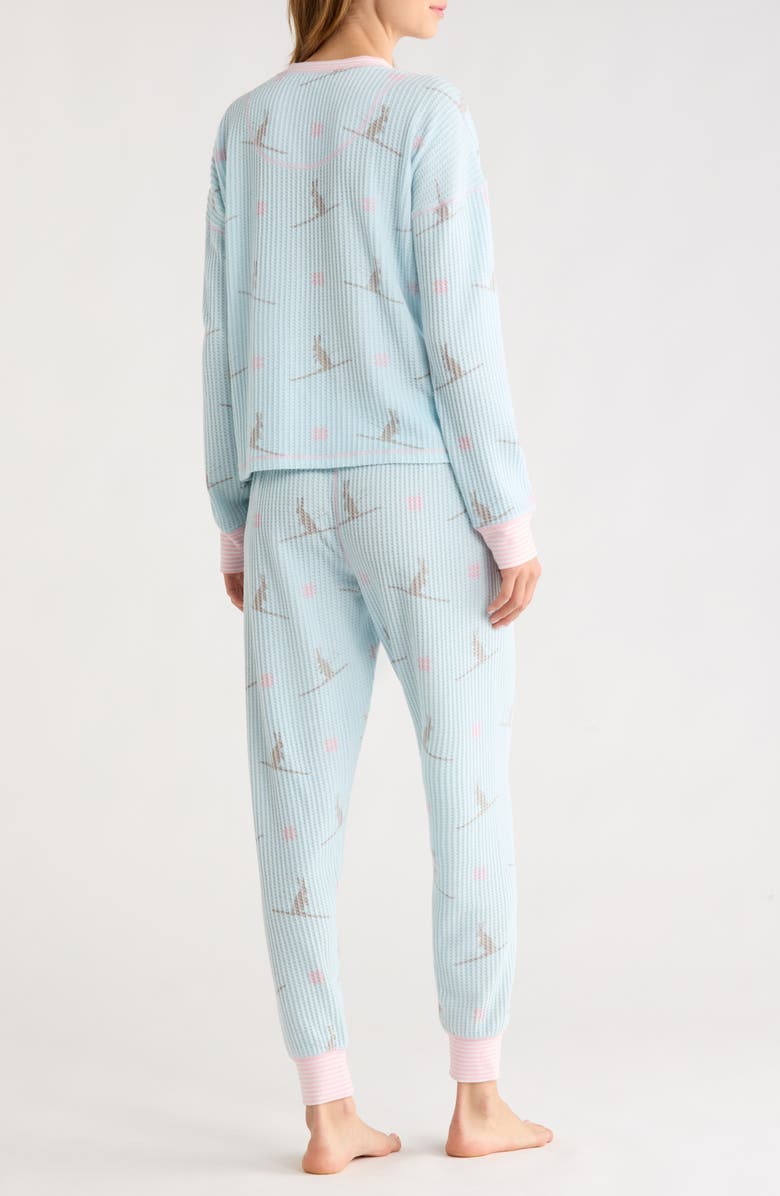PJ Salvage Ski Pajamas, Alternate, color, Pale Blue