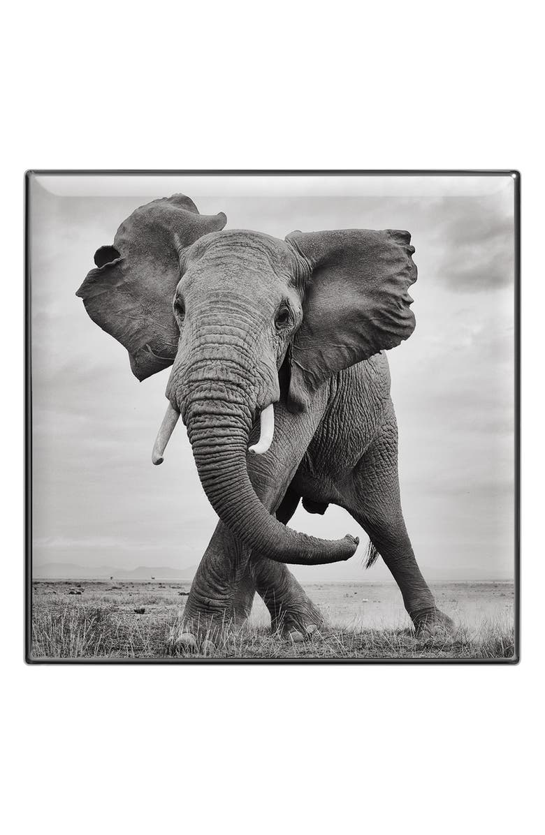 Chantecaille Luminescent Eye Shades, Alternate, color, Elephant