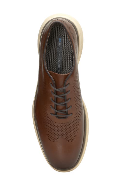 Vince Camuto Talmai Sneaker In Brown