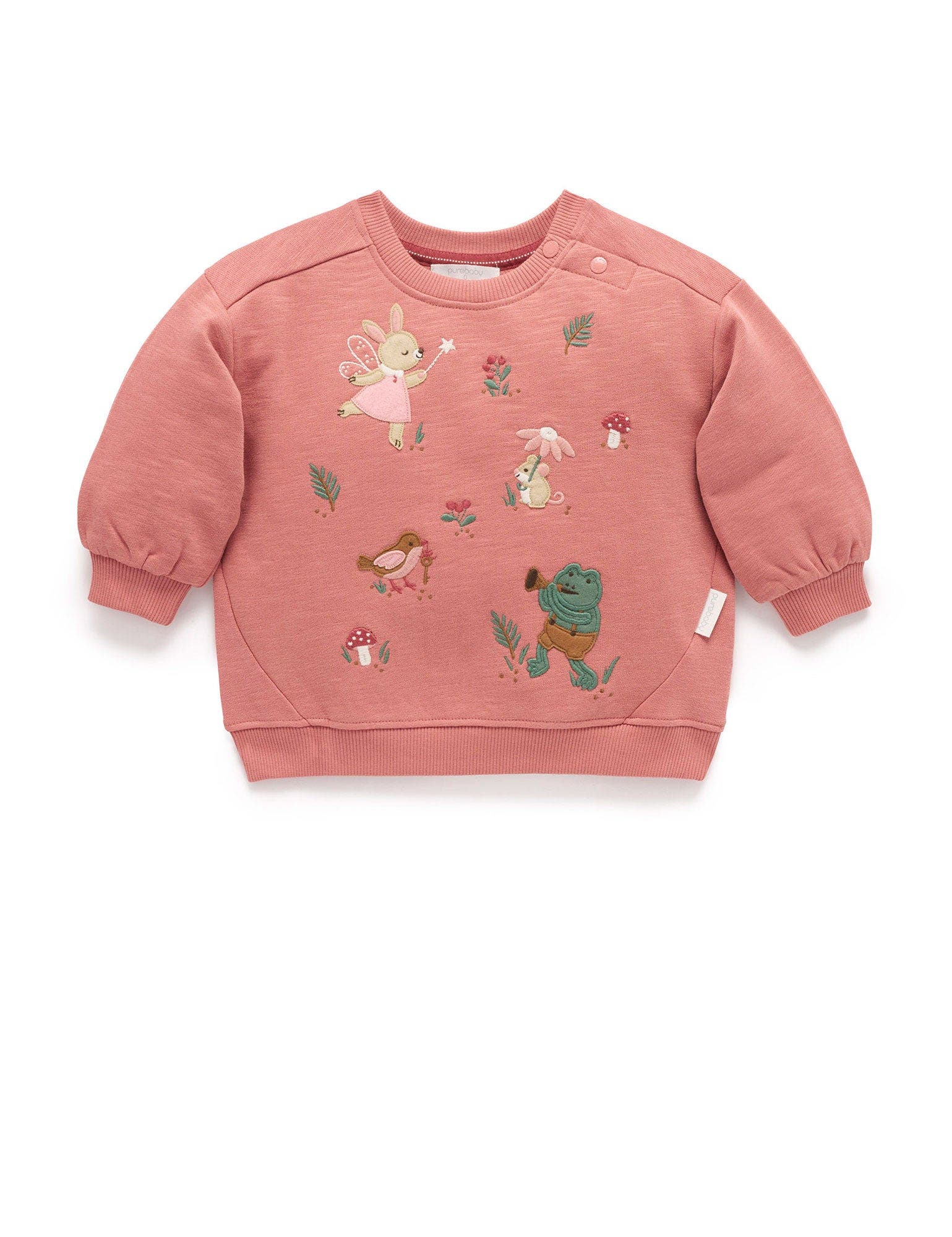 selected Lilly Pilly
