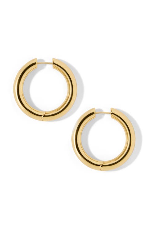 Lilly Hinged Hoop Earrings