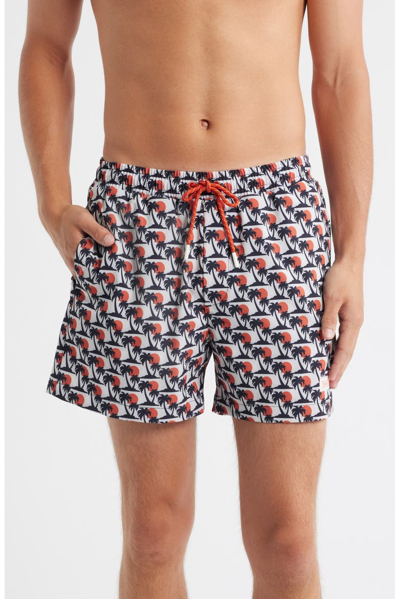 Southwood Swim Trunks, Main, color, BLUE PALM PRINT