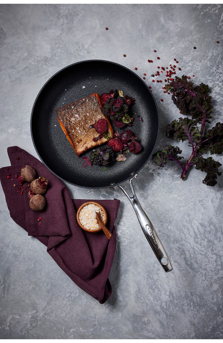 Scanpan Haptiq Stainless Steel Nonstick 10.25-Inch Fry Pan, Alternate, color,