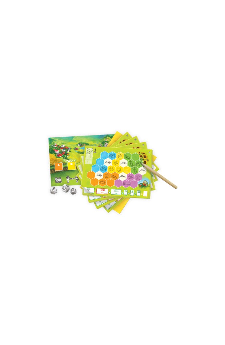 Playroom Entertainment Sunflower Valley Family Board Game, Alternate, color, Multicolored