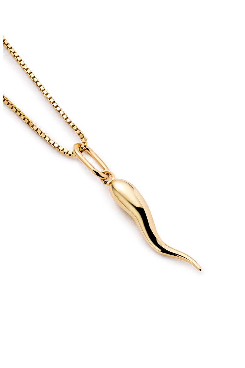 Solid Yellow Gold - Italian Horn Charm Necklace, Alternate, color, Gold
