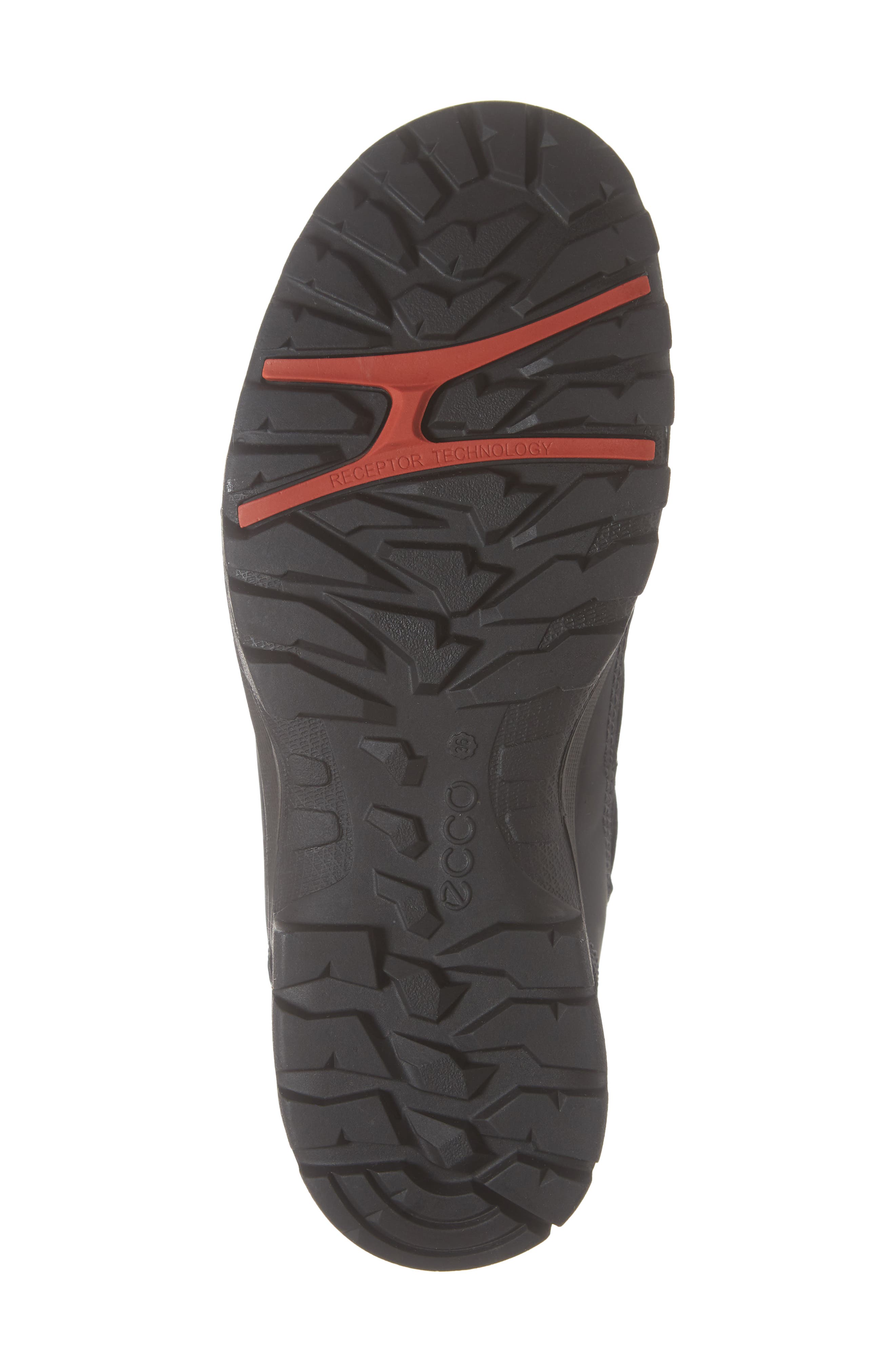 ECCO 'Xpedition III' Gore-Tex<sup>®</sup> Waterproof Hiking Boot, Alternate, color, 