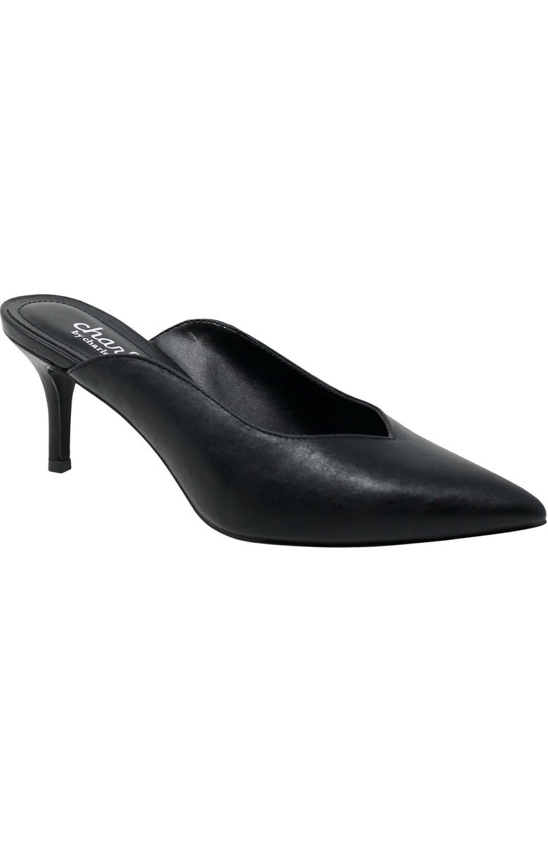 Charles by Charles David Addison Mule, Main, color,