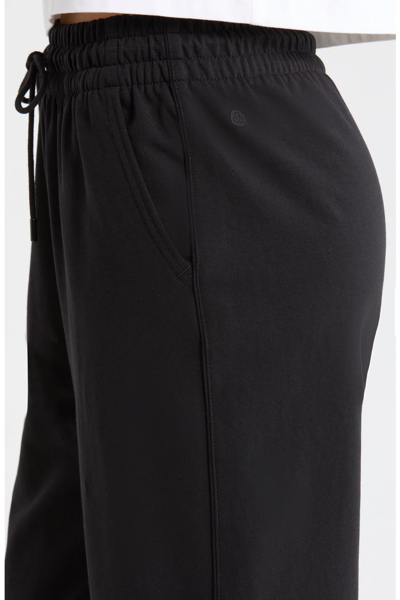 Tempo Terry Ankle Pants, Alternate, color, BLACK
