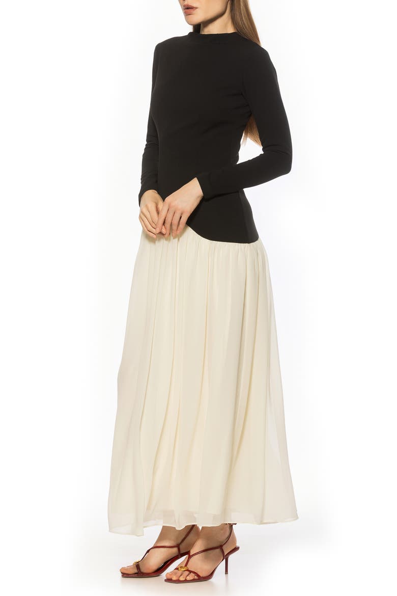 Dakota Long Sleeve Gown, Alternate, color, BLACK/ OFF WHITE